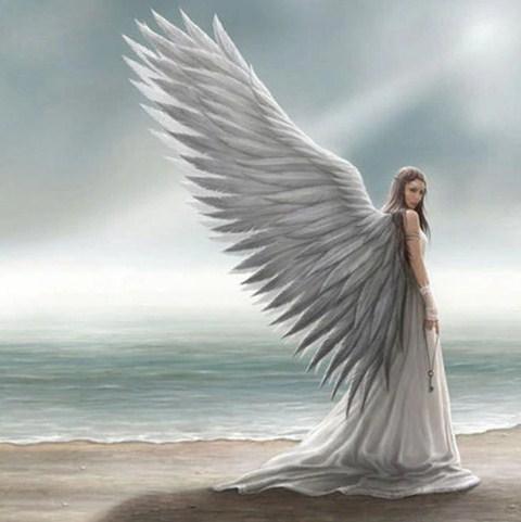 Engel mit schönen Flügeln - Diamond Painting