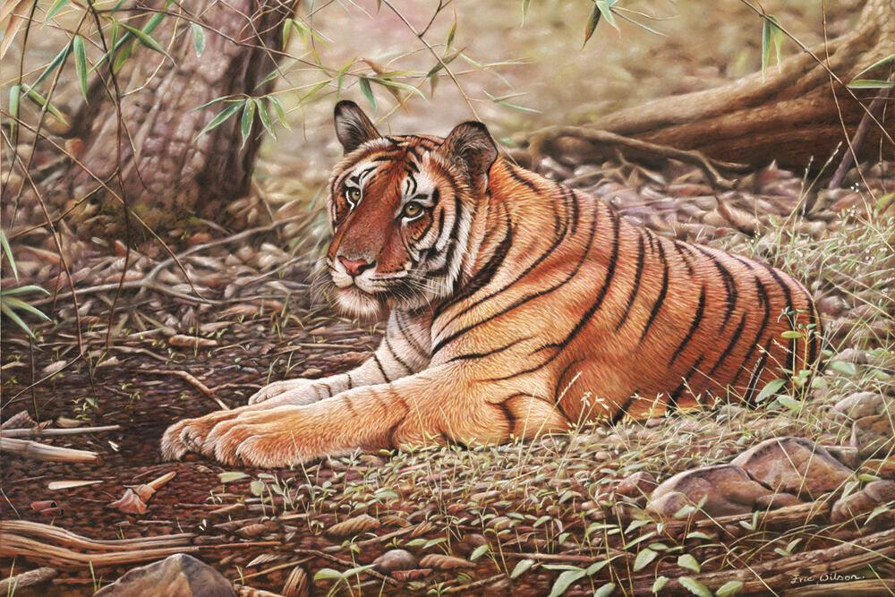 Bandhavgar Tiger -  Kunst des Eric Wilson - Diamond Painting