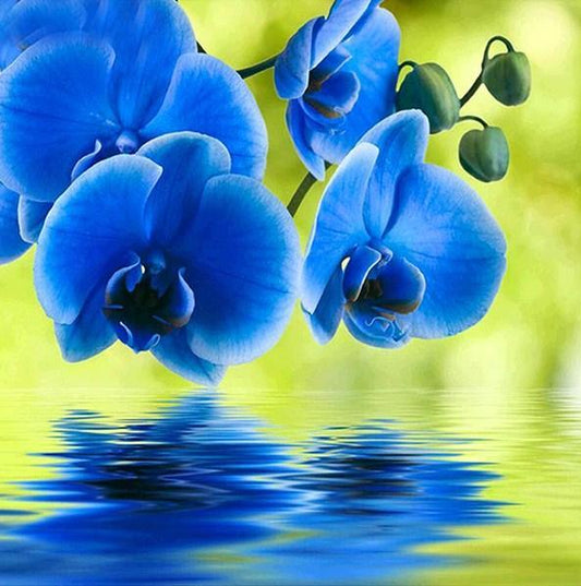 Schöne blaue Orchideen Diamond Painting - Diamond Painting
