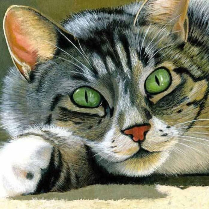 Schöne Katze mit grünen Augen - Diamond Painting