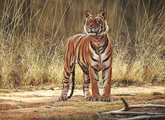 Bhoka Tiger -  Kunst des Eric Wilson - Diamond Painting