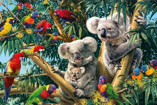 Vögel & Koalas auf Bäumen - Diamond Painting