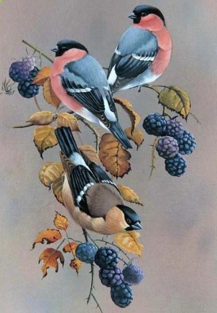 Vögel auf Beerenbaum - Diamond Painting