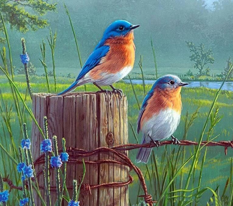 Vögel auf Zaun Diamond Painting Kit - Diamond Painting
