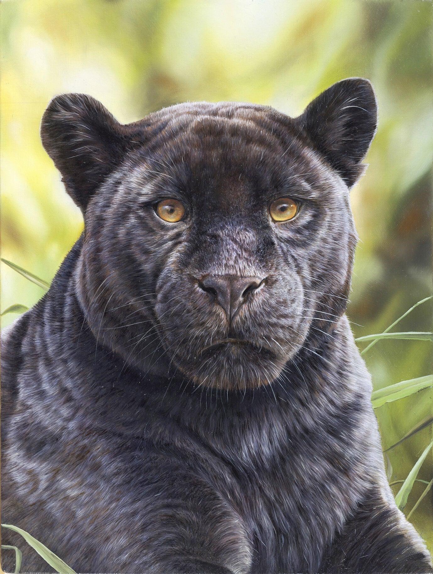 Schwarzer Panther -  Kunst des Eric Wilson - Diamond Painting