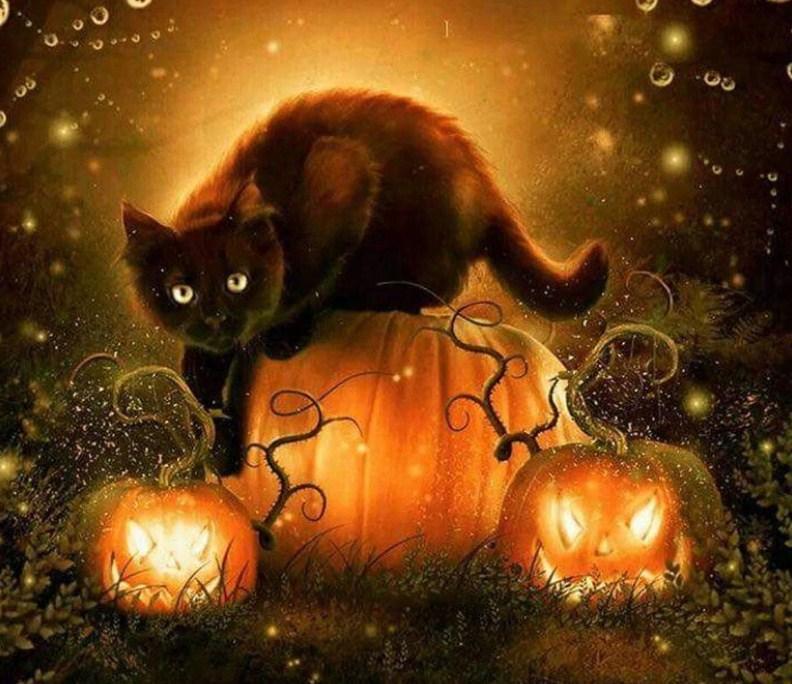 Schwarze Katze & Halloween Kürbisse - Diamond Painting