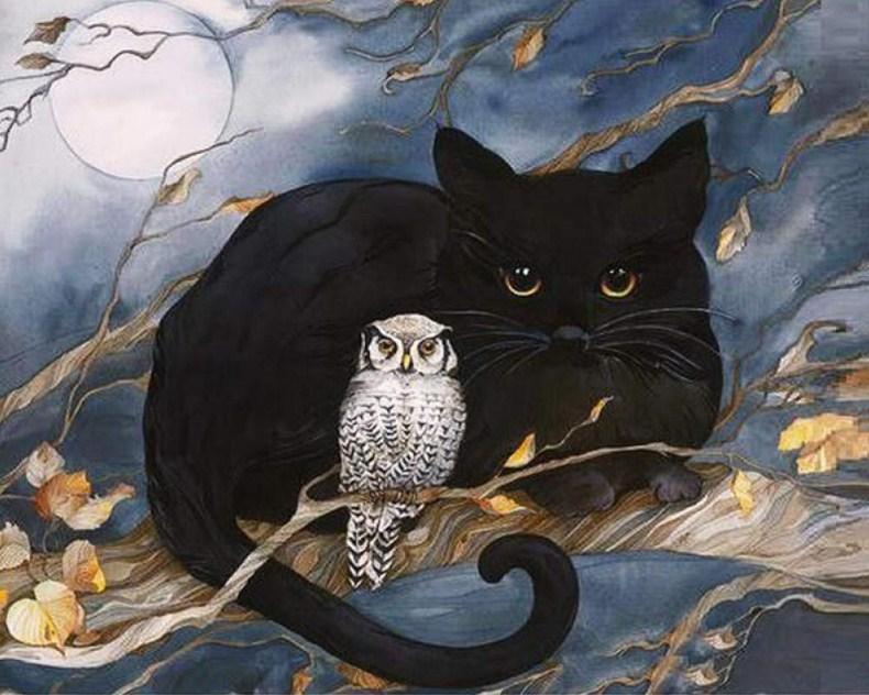 Schwarze Katze & Eule sitzen auf Baum - Diamond Painting
