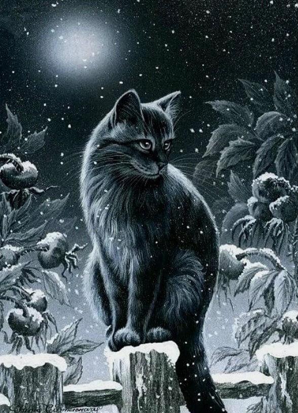 Schwarze Katze in der Nacht - Diamond Painting