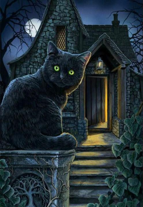 Schwarze Katze mit grünen Augen von Lisa Parker - Diamond Painting