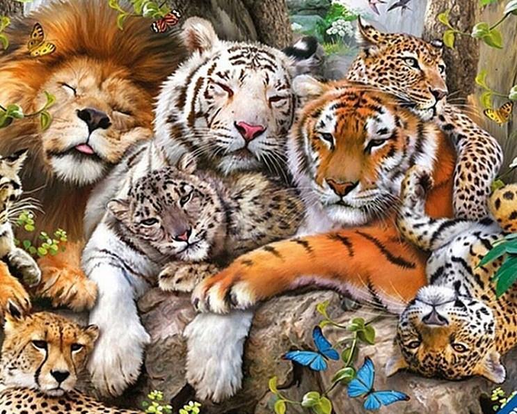 Rassen von Großkatzen Diamond Painting – All Diamond Painting