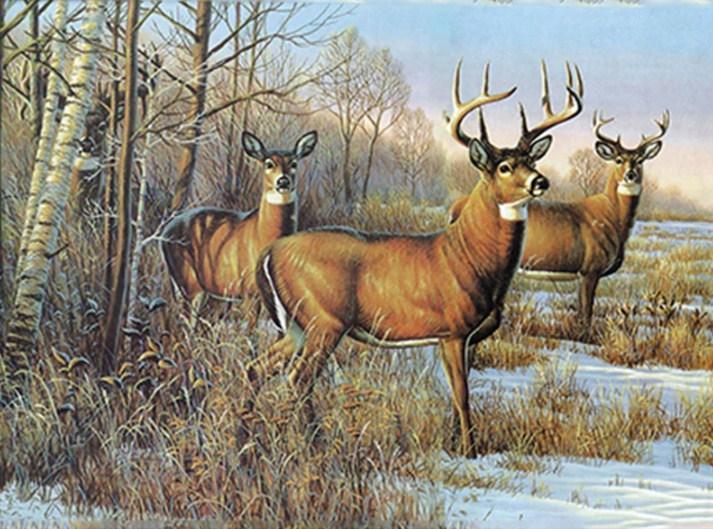 Hirsch und Reh Diamond Painting - Diamond Painting