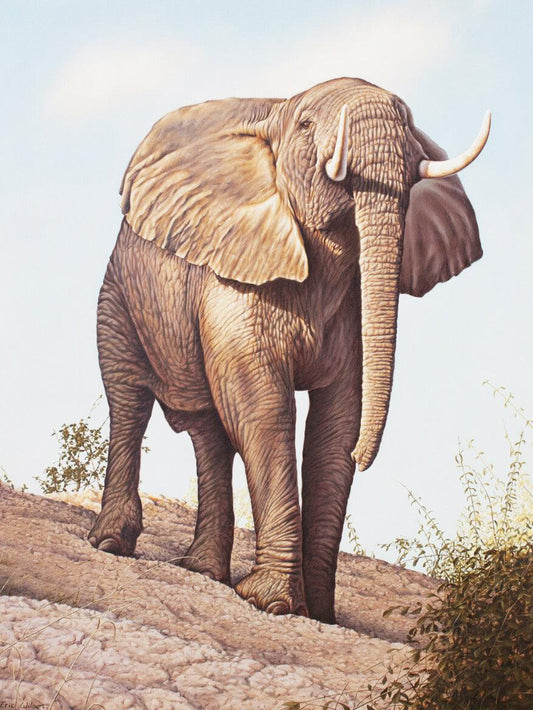 Elefantenbulle Simbabwe -  Kunst des Eric Wilson - Diamond Painting
