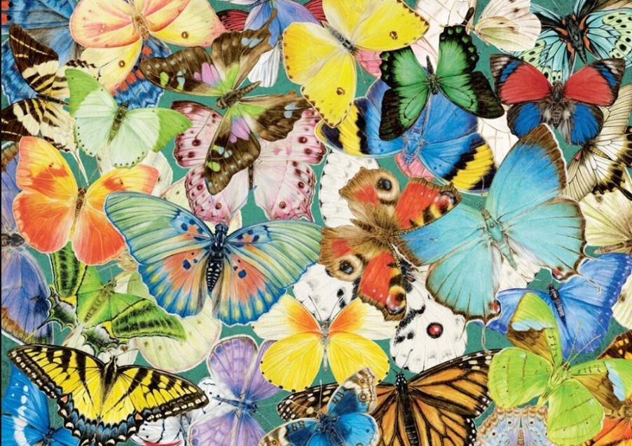 Bunte Schmetterlingsarten - Diamond Painting Kit - Diamond Painting