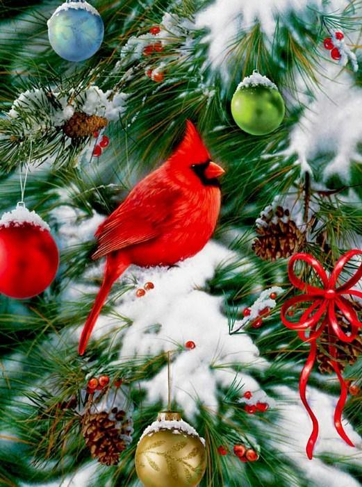 Kardinal sitzt auf Weihnachtsbaum - Diamond Painting
