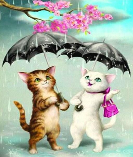 Karikatur-Katzen im Regen - Diamond Painting