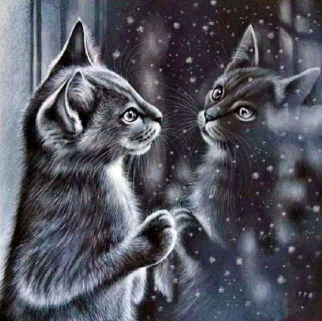 Katze bewundert ihr Spiegelbild - Diamond Painting