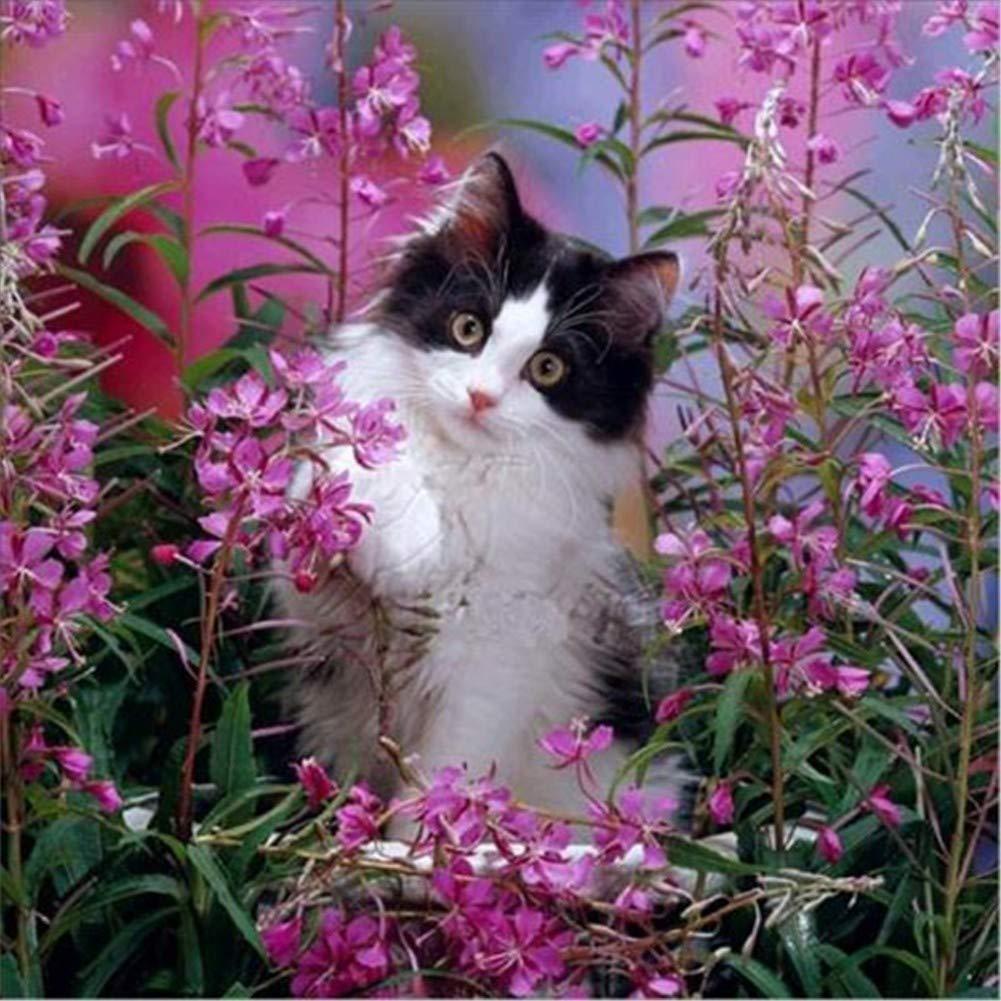 Katze spielt in Blumen - Diamond Painting