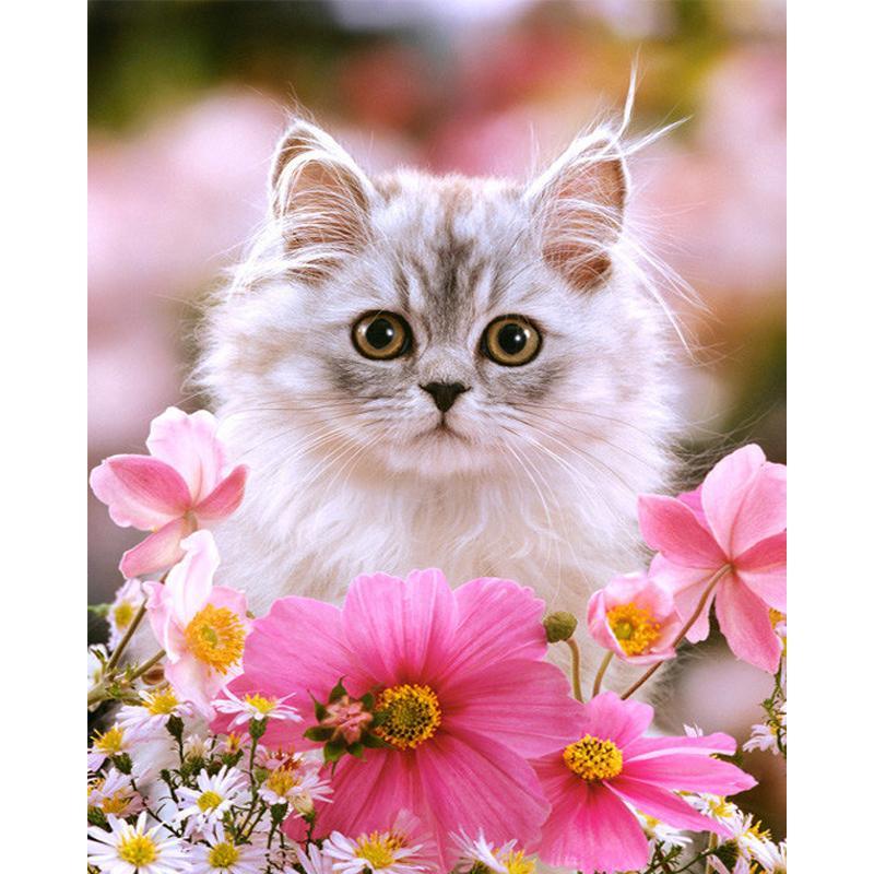 Katze sitzt in Blumen - Diamond Painting