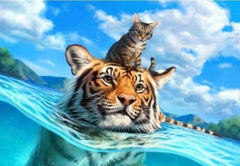 Katze und Tiger schwimmen - Diamond Painting