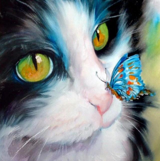 Katze mit Schmetterling auf der Nase - Diamond Painting