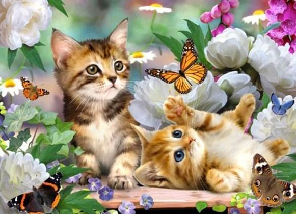 Katzen & Schmetterlinge - Diamond Painting