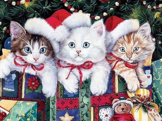 Katzen an Weihnachten - Diamond Painting
