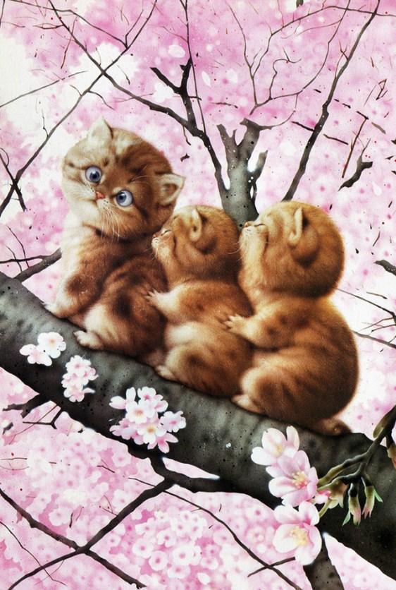 Katzen auf Kirschbaum - Diamond Painting