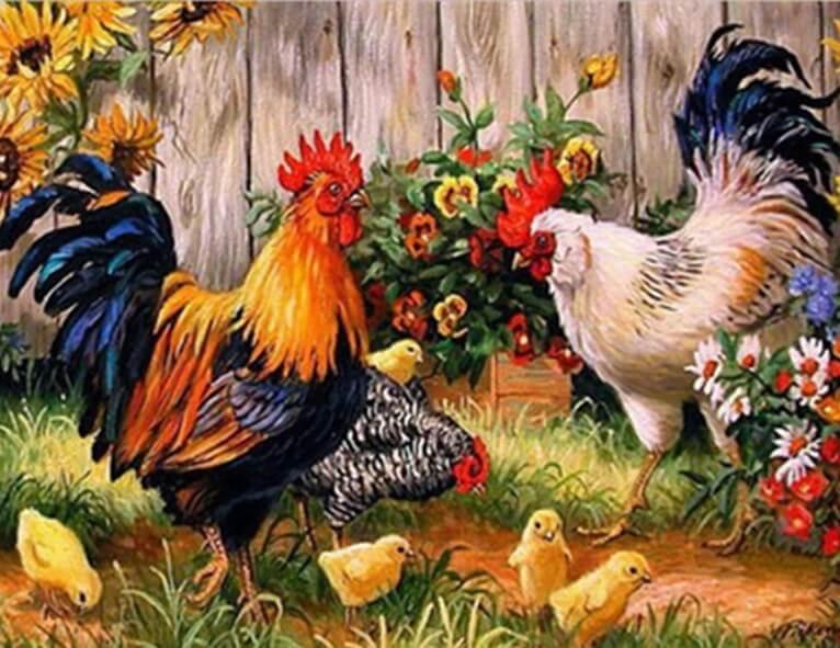 Hühner auf dem Bauernhof - Diamond Painting