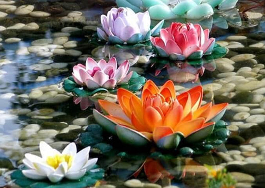 Bunte Lotusblumen - Diamond Painting