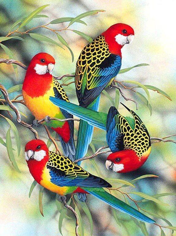 Bunte Papageien auf Bäumen - Diamond Painting