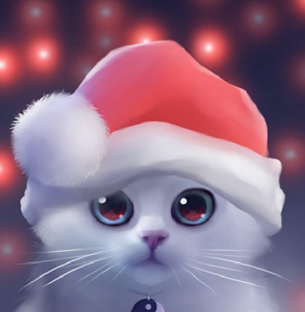 Nette Katze mit Weihnachtsmütze - Diamond Painting