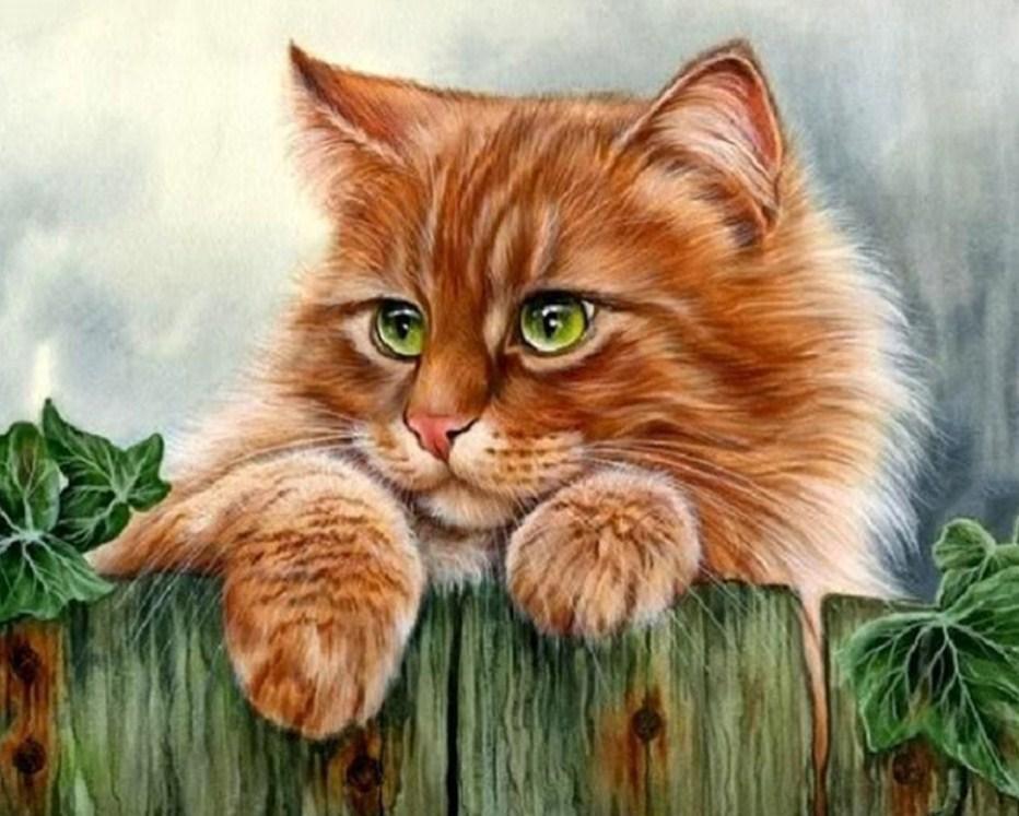 Nette Ingwer-Katze mit grünen Augen - Diamond Painting