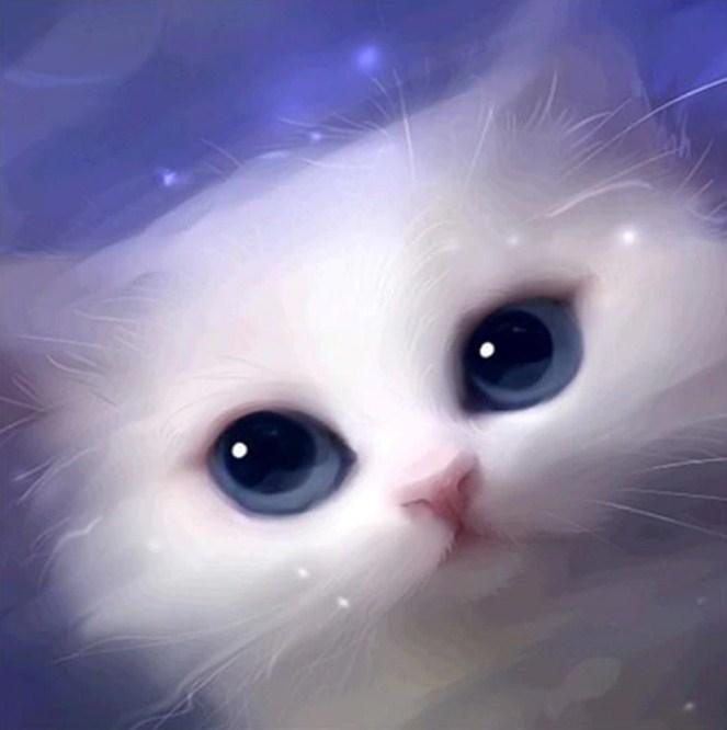 Nette weiße Katze mit blauen Augen - Diamond Painting