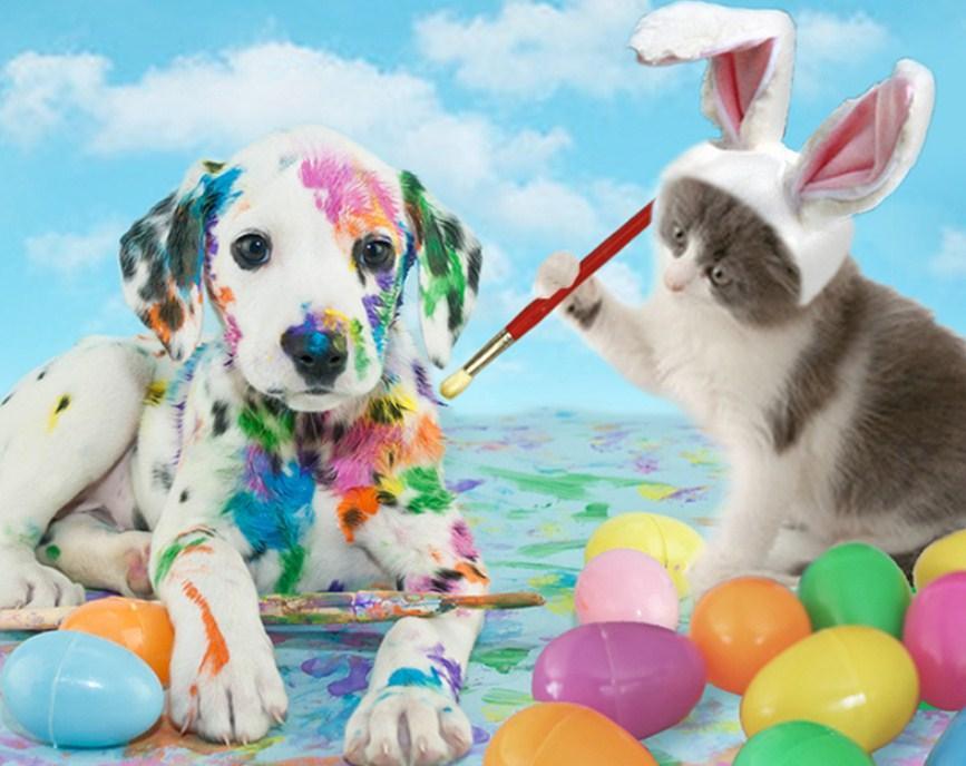 Hund & Katze feiern Ostern - Diamond Painting