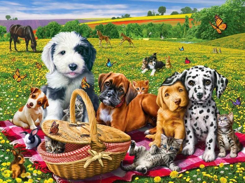 Hunde & Katzen beim Picknick. - Diamond Painting