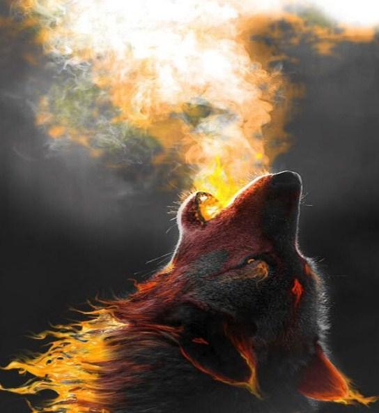 Drachenwolf bläst Feuer - Diamond Painting