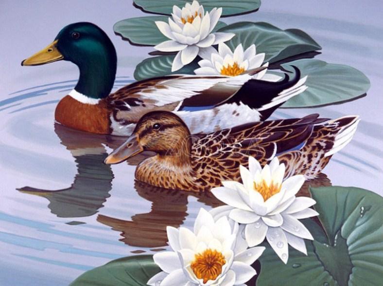 Entenpaar & weißer Lotus - Diamond Painting