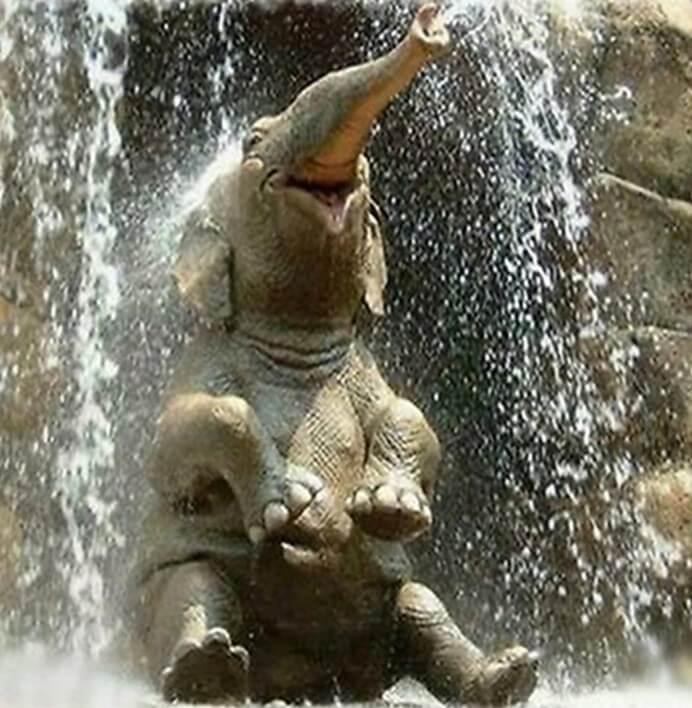 Elefantenbaby, das im Wasser spielt - Diamond Painting