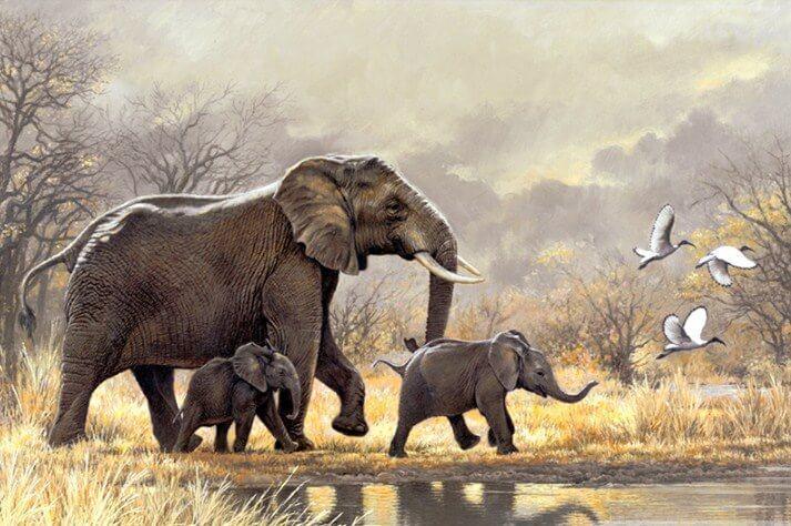 Elefantenfamilie Diamond Painting - Diamond Painting