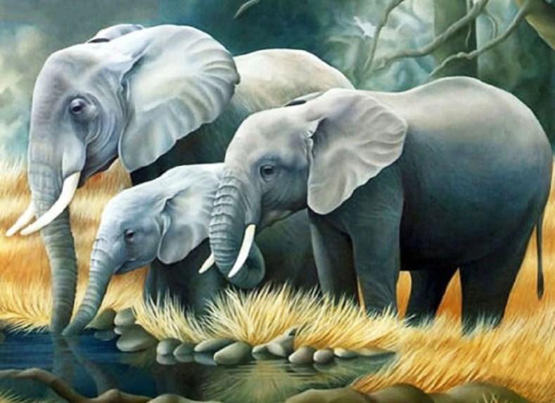 Elefantenfamilie Trinkwasser - Diamond Painting