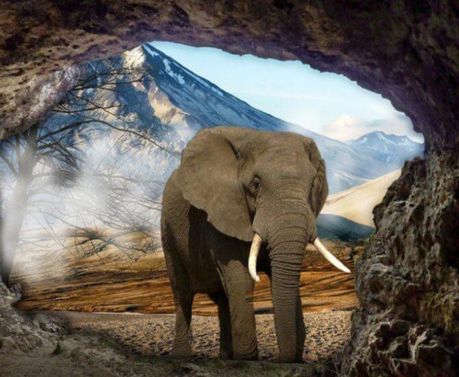 Elefant in der Höhle - Diamond Painting