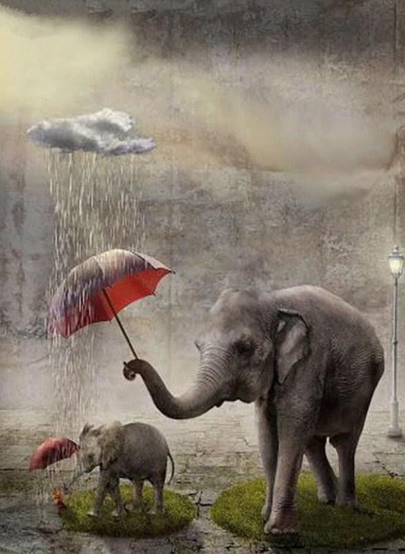 Elefanten mit Regenschirmen - Diamond Painting