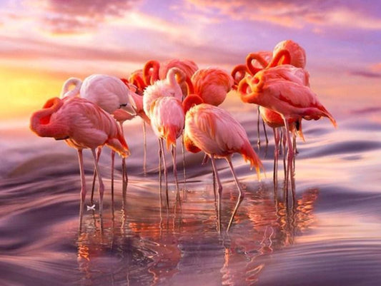 Flamingos Gruppe - Farbe von Diamanten - Diamond Painting