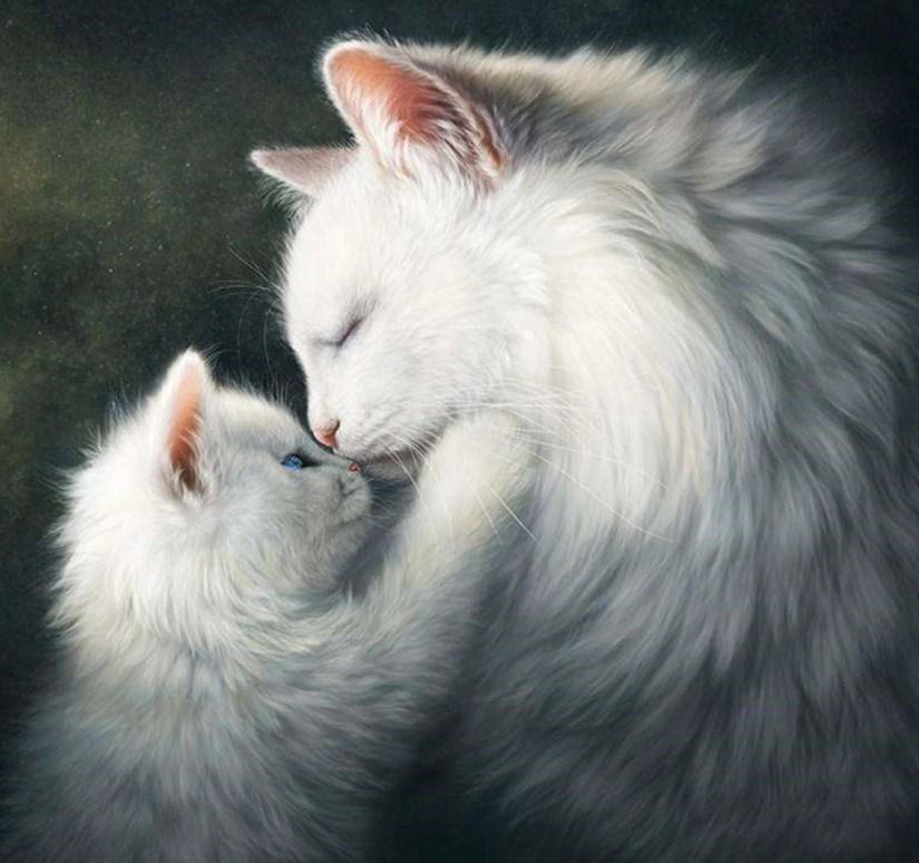 Flauschige weiße Katzen - Diamond Painting