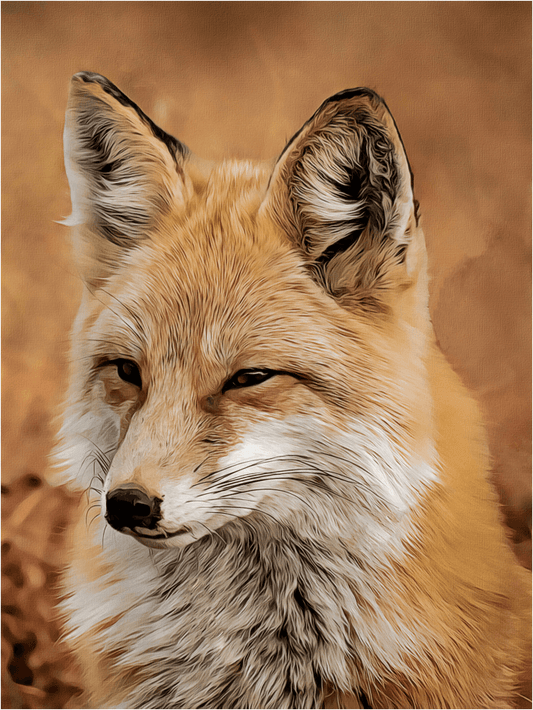 Fuchs - Kunst des Denise Dundon - Diamond Painting