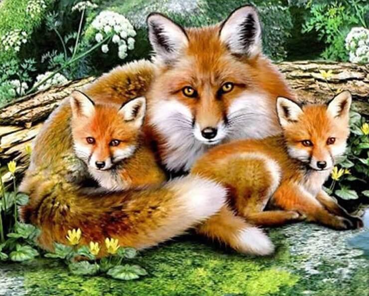 Fuchsfamilie DIY Mal-Kit - Diamond Painting