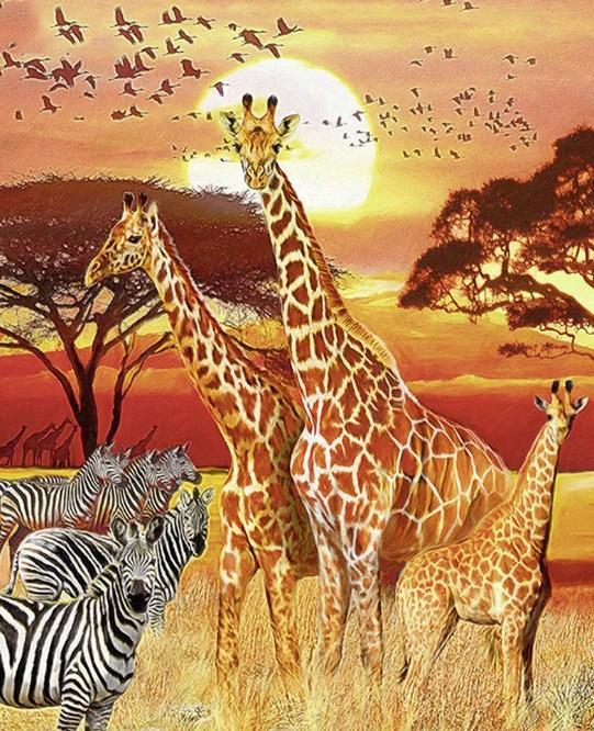 Giraffen & Zebras - Farbe mit Diamanten - Diamond Painting