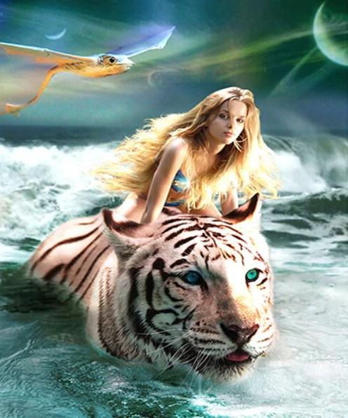 Mädchen, das einen weißen Tiger reitet - Diamond Painting