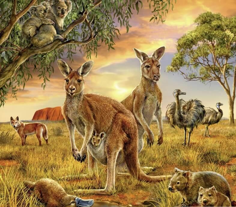 Gruppe australischer Tiere - Diamond Painting