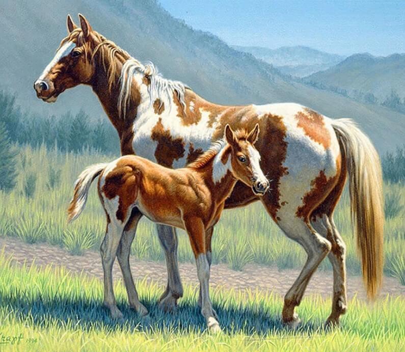 Pferd mit Fohlen Diamond Painting Kit - Diamond Painting